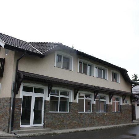 ホテル Casa Ianis ブラショフ エクステリア 写真