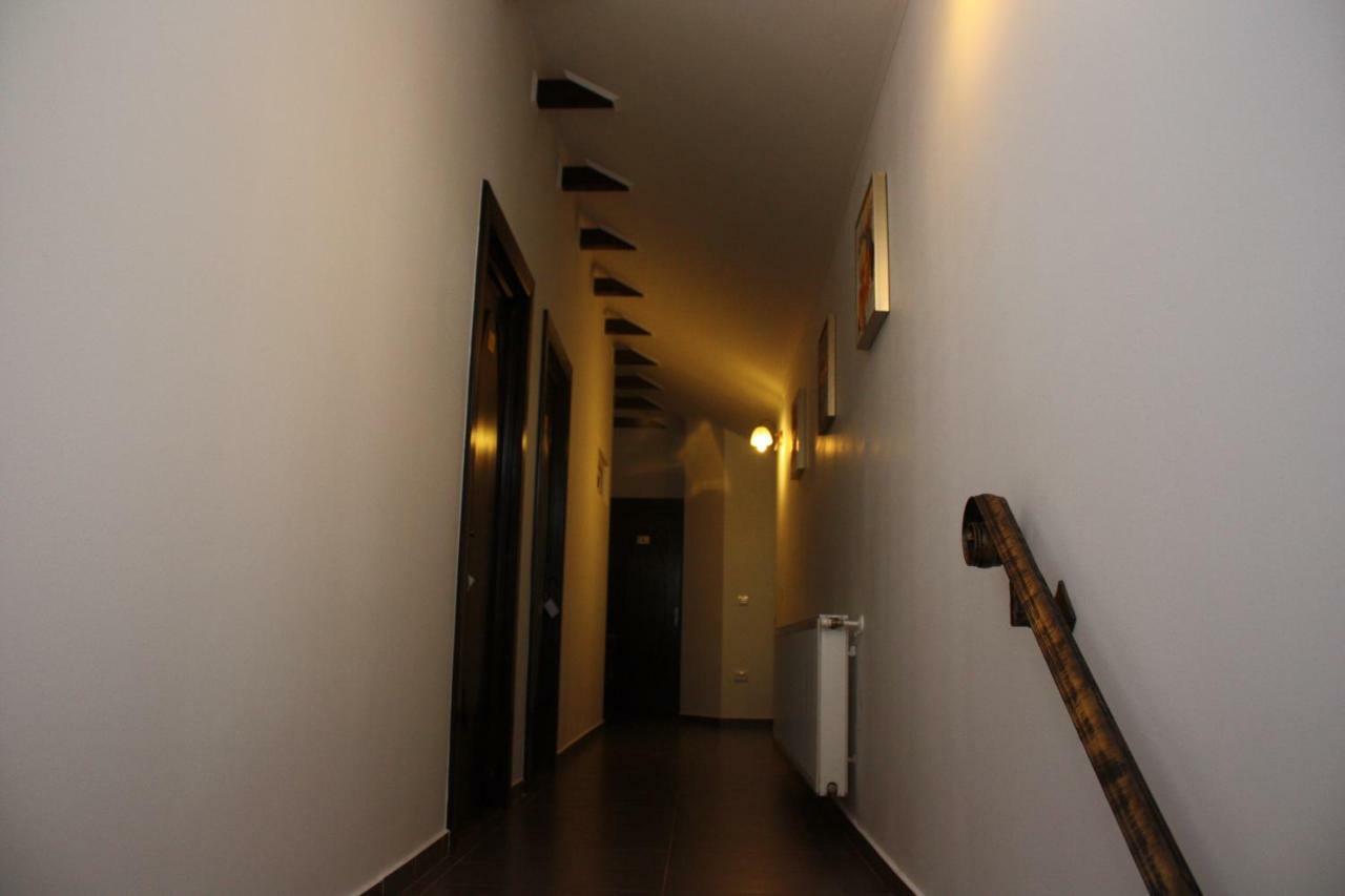 ホテル Casa Ianis ブラショフ エクステリア 写真