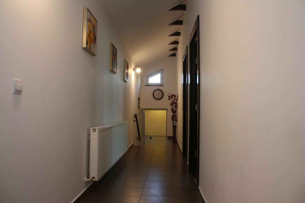 ホテル Casa Ianis ブラショフ エクステリア 写真